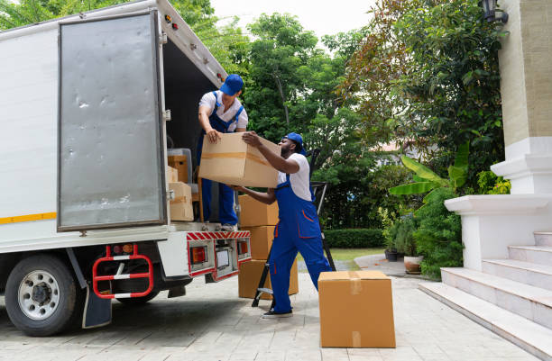 How Movers and Packers in Sydney Streamline the Moving Process