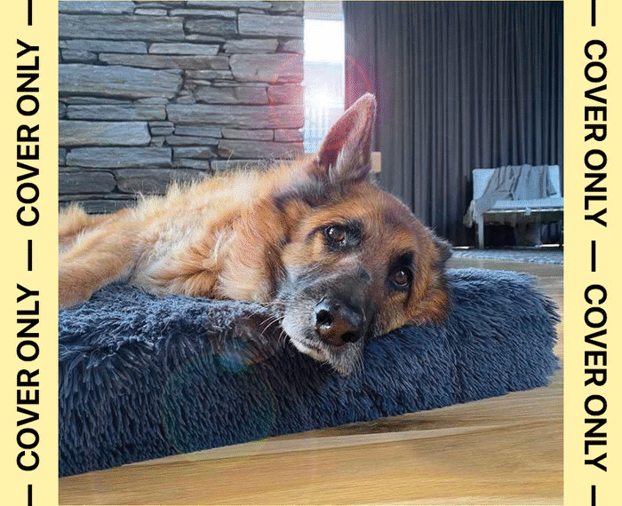 Timeless Memories on Canvas: The Growing Love for Custom Dog Portraits and Custom Pawtraits